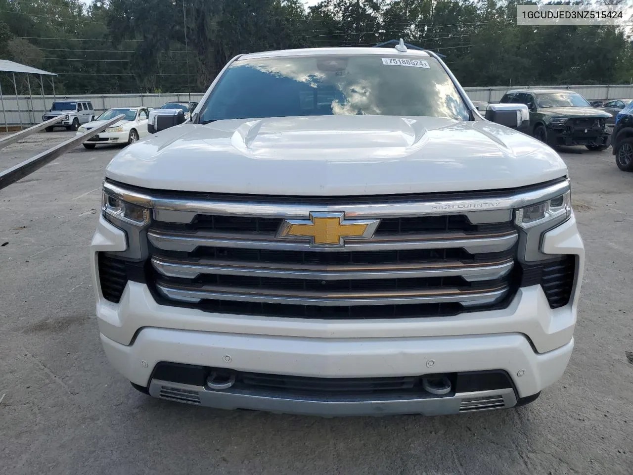 2022 Chevrolet Silverado K1500 High Country VIN: 1GCUDJED3NZ515424 Lot: 75188524