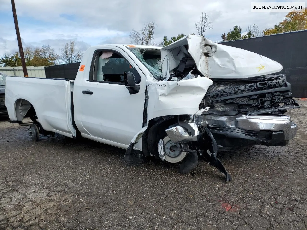 2022 Chevrolet Silverado C1500 VIN: 3GCNAAED9NG534931 Lot: 76128184