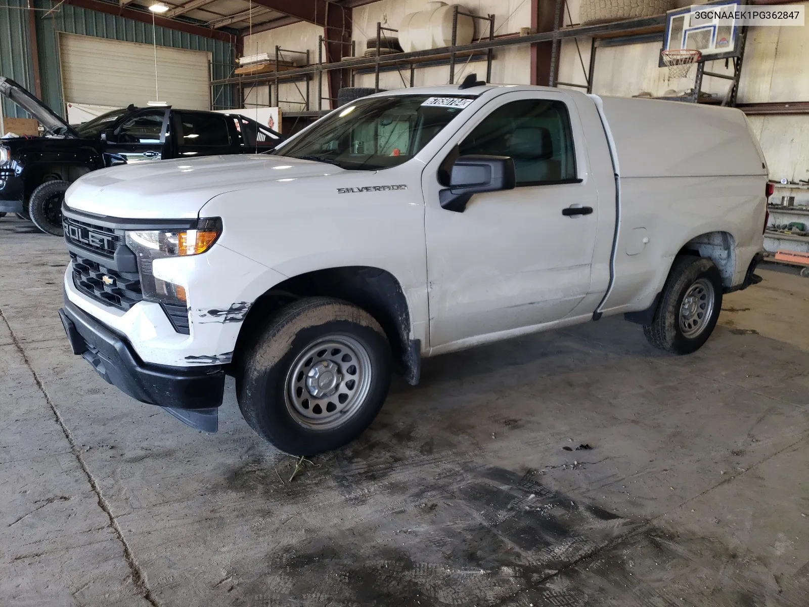 2023 Chevrolet Silverado C1500 VIN: 3GCNAAEK1PG362847 Lot: 67650784