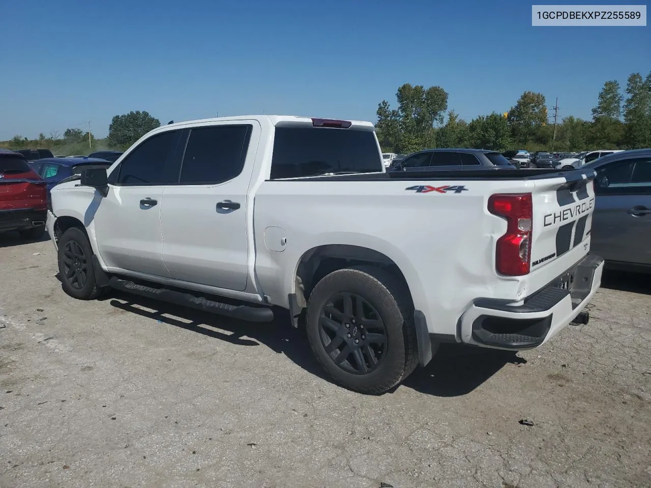 2023 Chevrolet Silverado K1500 Custom VIN: 1GCPDBEKXPZ255589 Lot: 73765704