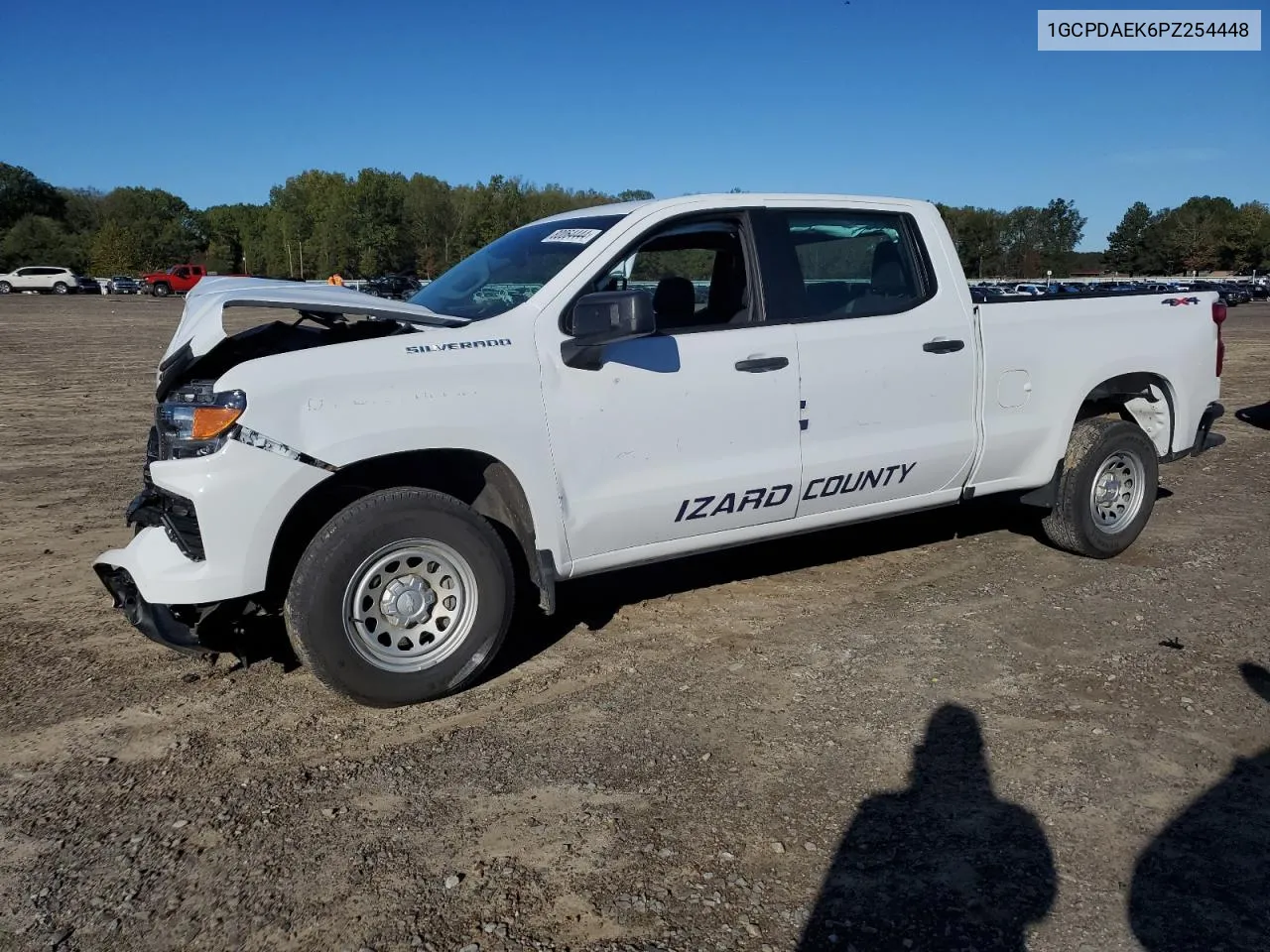 2023 Chevrolet Silverado K1500 VIN: 1GCPDAEK6PZ254448 Lot: 80064444