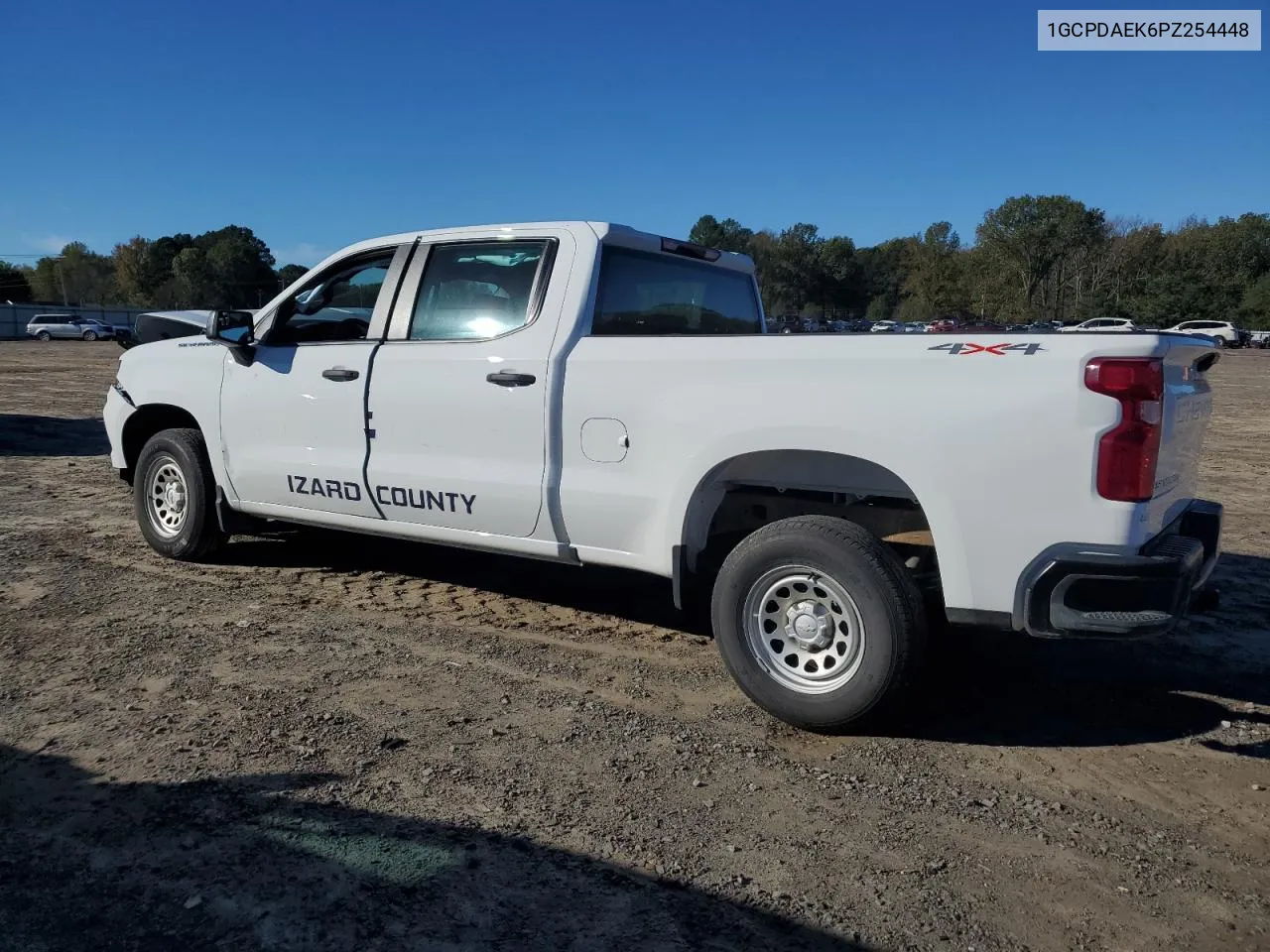 2023 Chevrolet Silverado K1500 VIN: 1GCPDAEK6PZ254448 Lot: 80064444