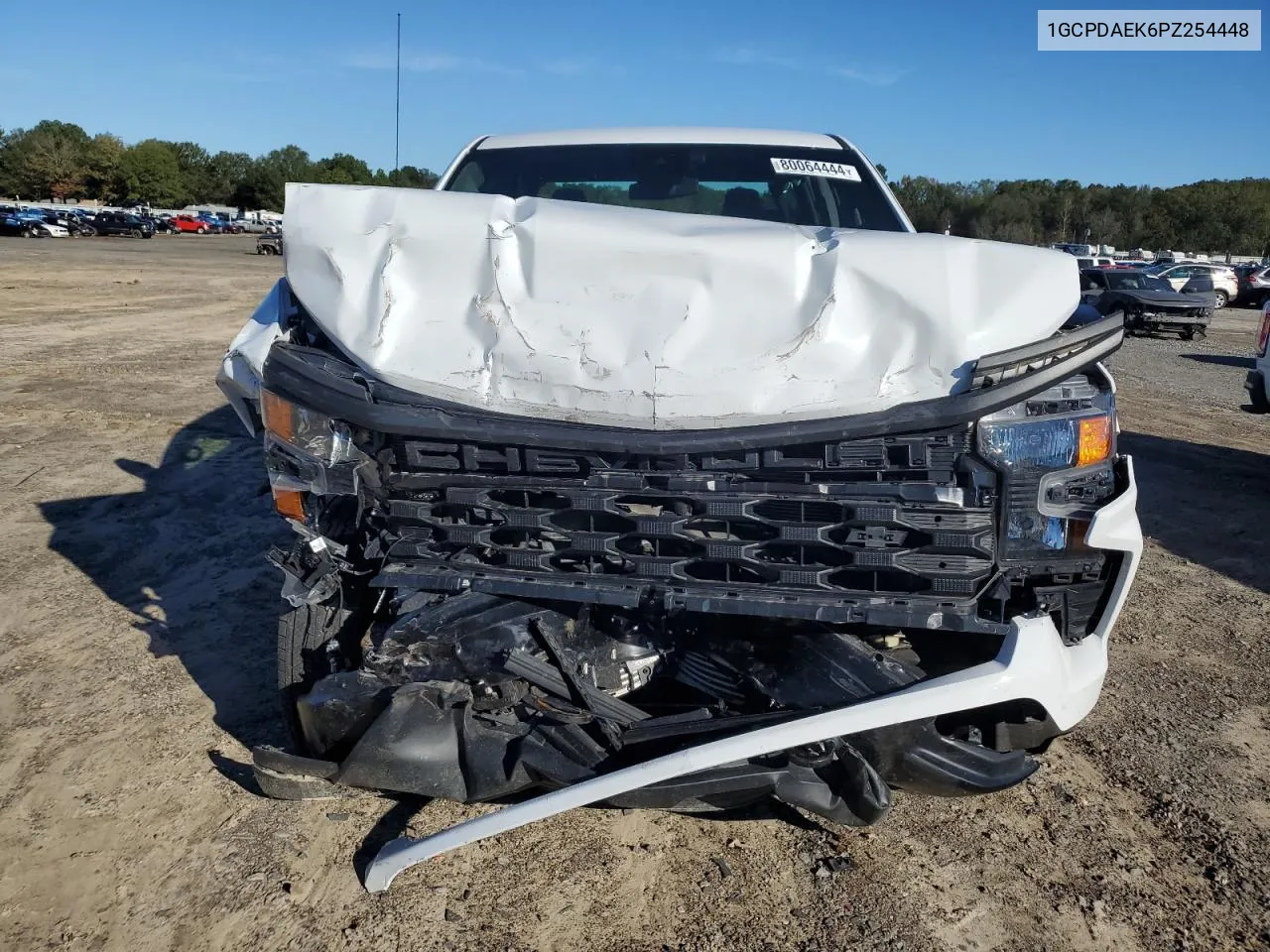 2023 Chevrolet Silverado K1500 VIN: 1GCPDAEK6PZ254448 Lot: 80064444