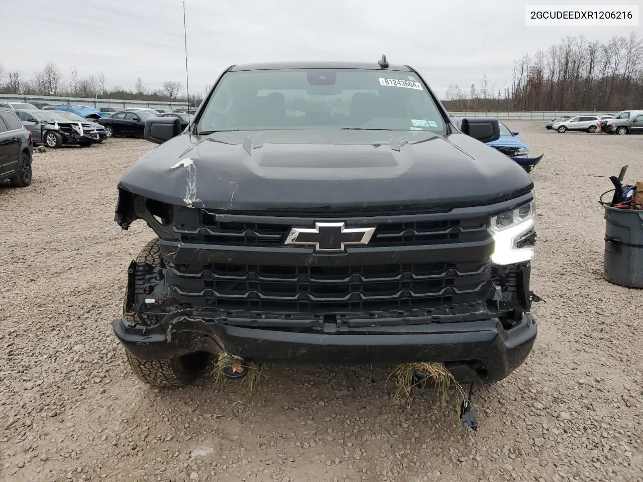 2024 Chevrolet Silverado K1500 Rst VIN: 2GCUDEEDXR1206216 Lot: 81243604