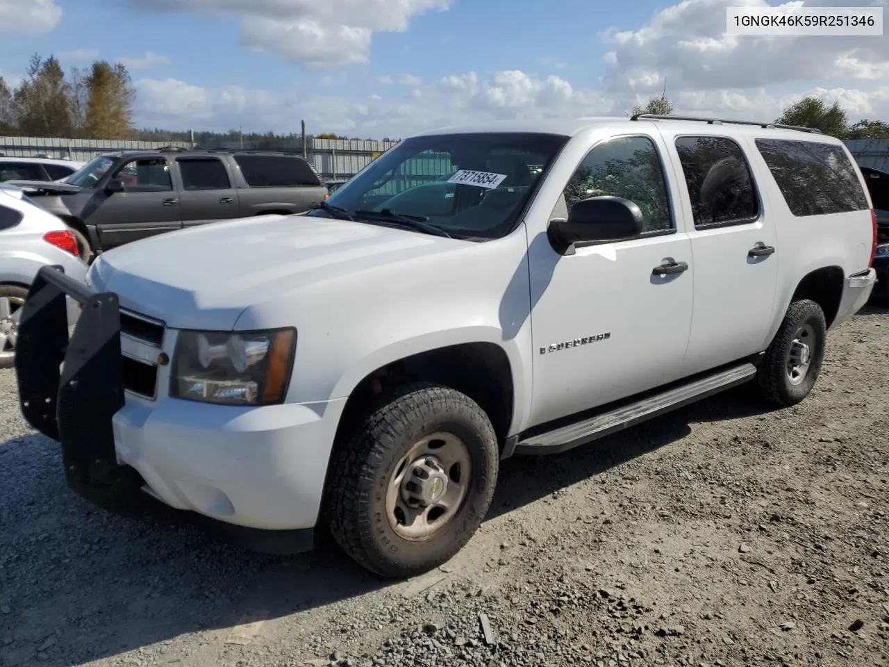 2009 Chevrolet Suburban K2500 Ls VIN: 1GNGK46K59R251346 Lot: 73715854