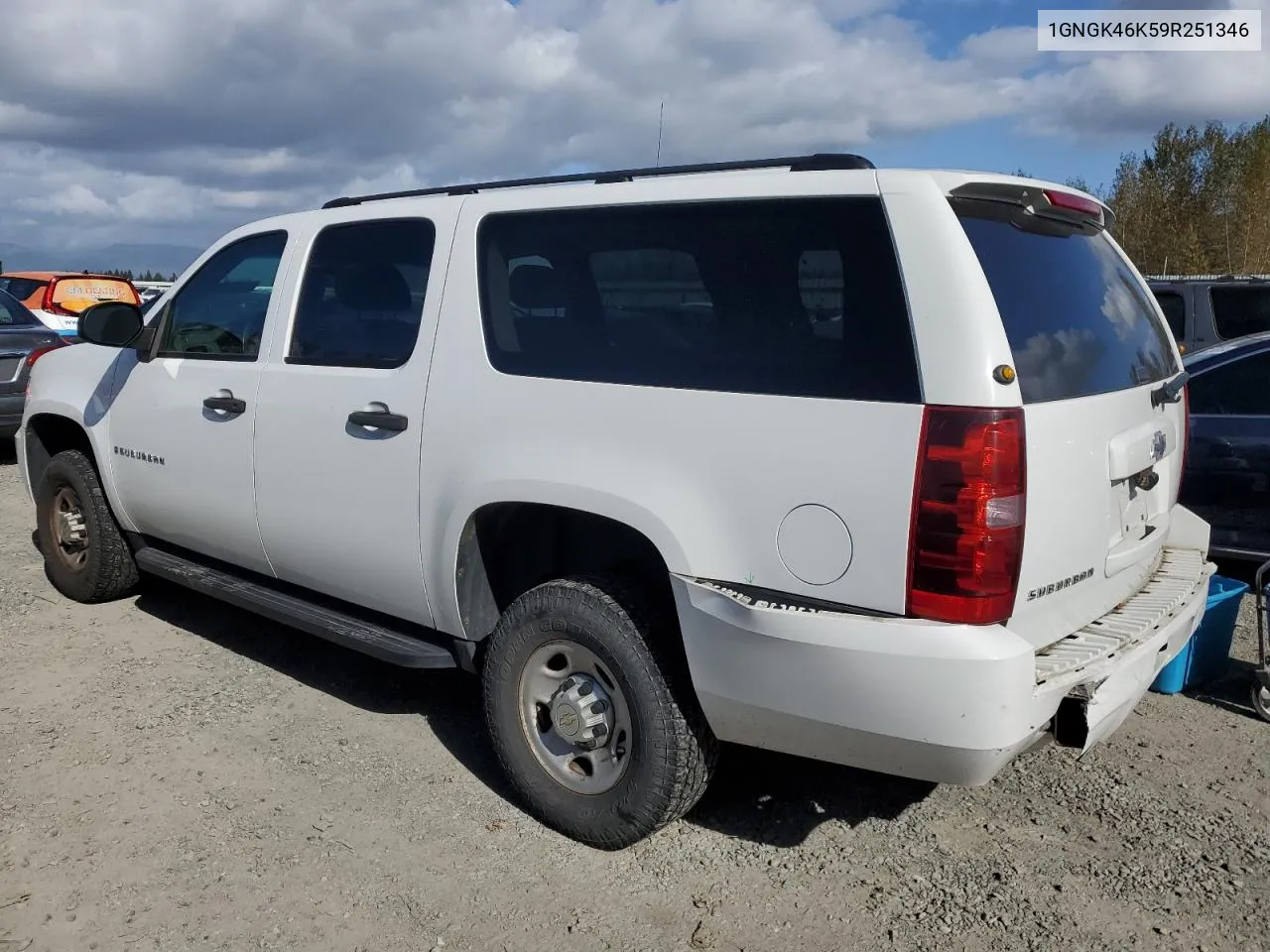 2009 Chevrolet Suburban K2500 Ls VIN: 1GNGK46K59R251346 Lot: 73715854