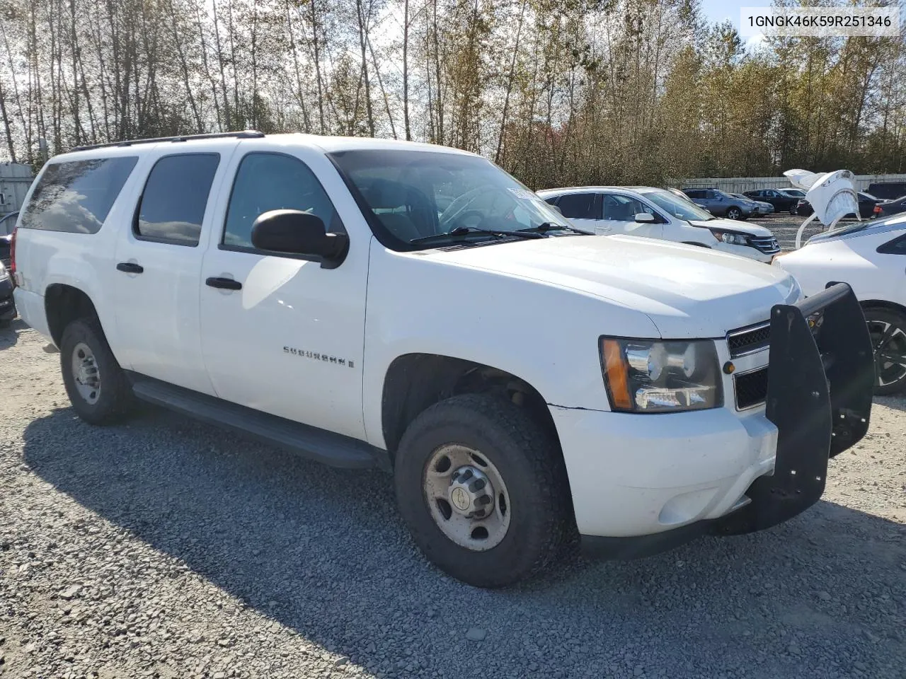 2009 Chevrolet Suburban K2500 Ls VIN: 1GNGK46K59R251346 Lot: 73715854