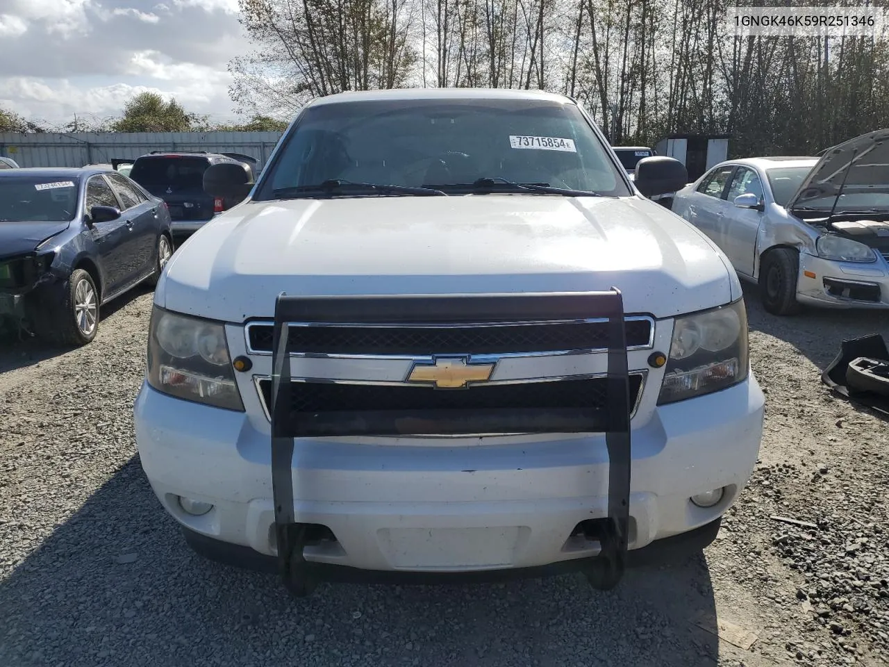 2009 Chevrolet Suburban K2500 Ls VIN: 1GNGK46K59R251346 Lot: 73715854