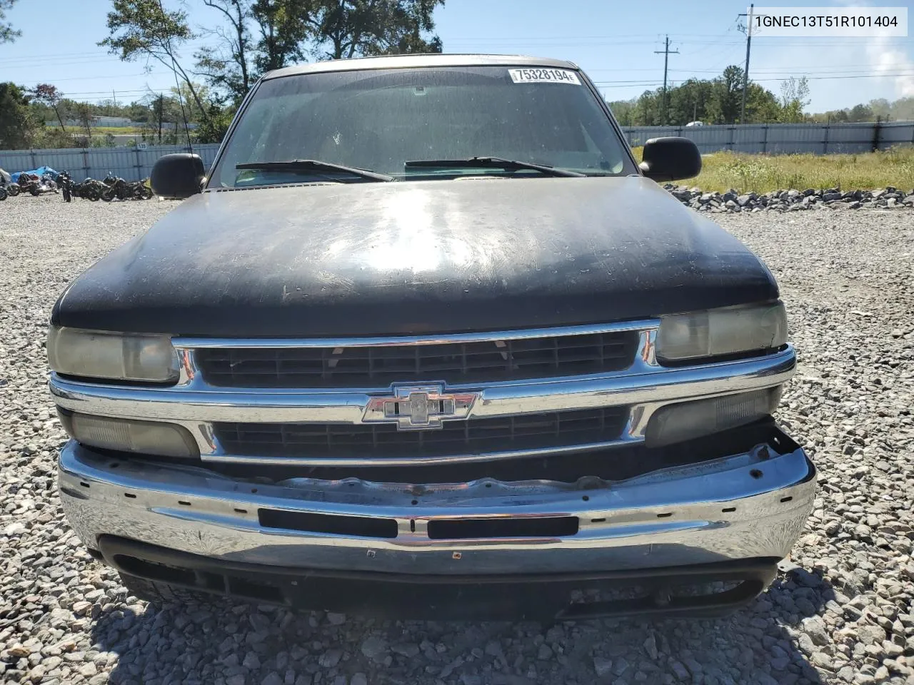 2001 Chevrolet Tahoe C1500 VIN: 1GNEC13T51R101404 Lot: 75328194