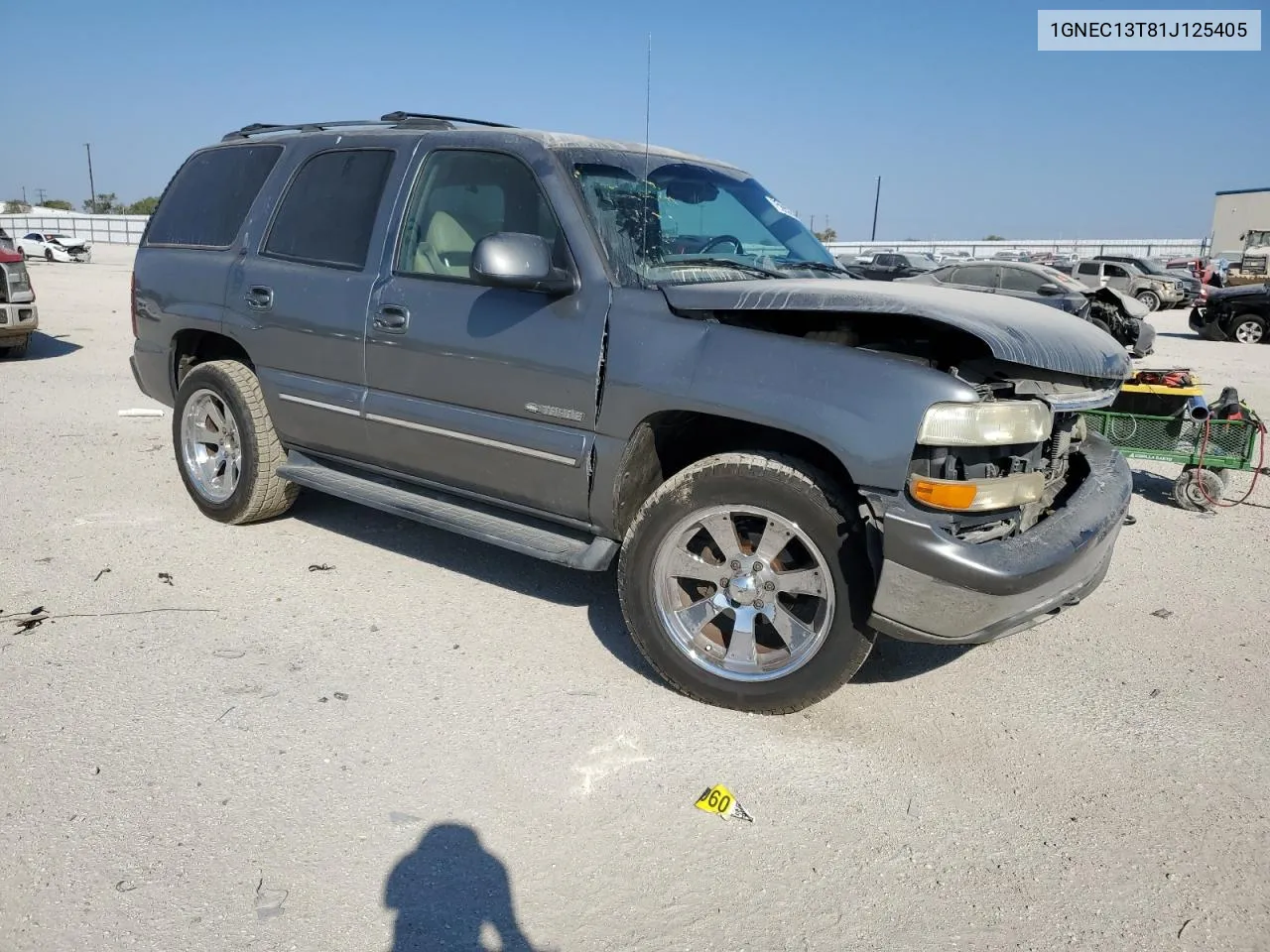 2001 Chevrolet Tahoe C1500 VIN: 1GNEC13T81J125405 Lot: 75995354