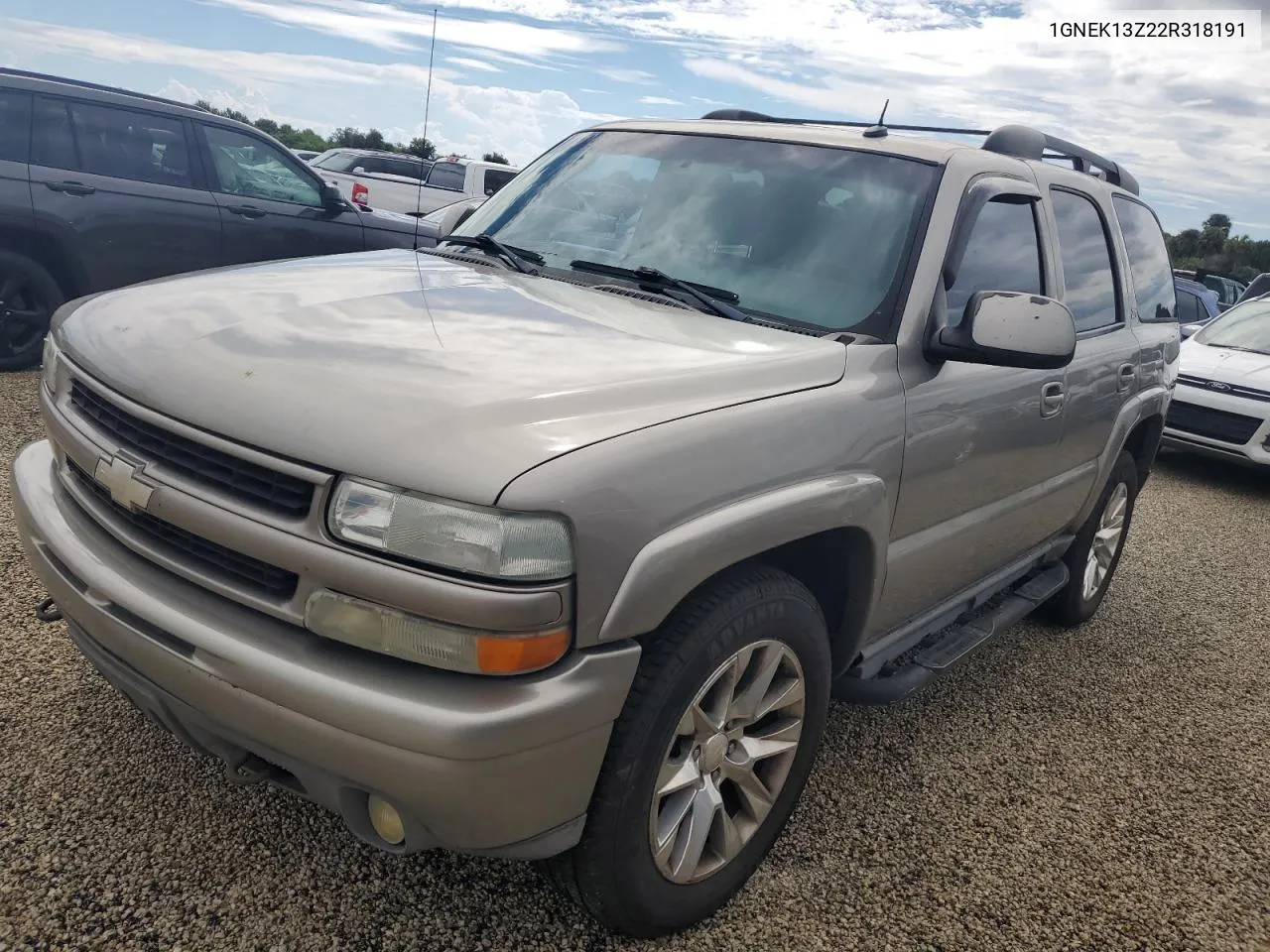 2002 Chevrolet Tahoe K1500 VIN: 1GNEK13Z22R318191 Lot: 74220284