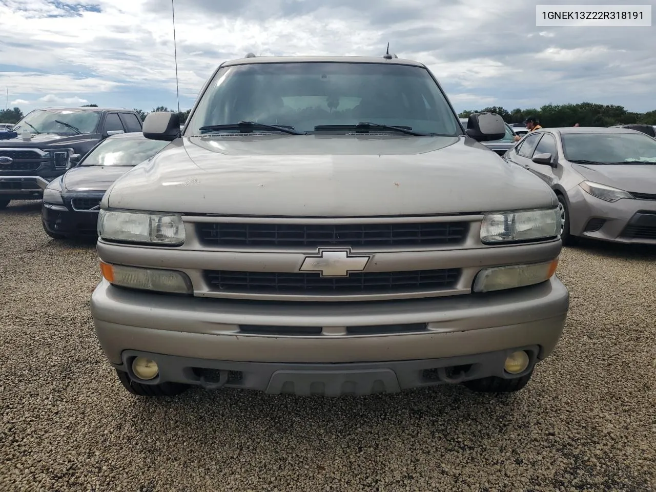 2002 Chevrolet Tahoe K1500 VIN: 1GNEK13Z22R318191 Lot: 74220284