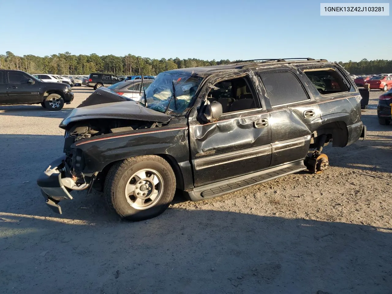 2002 Chevrolet Tahoe K1500 VIN: 1GNEK13Z42J103281 Lot: 74349944