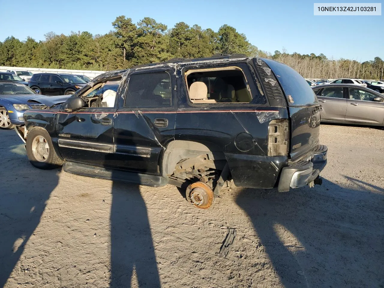 2002 Chevrolet Tahoe K1500 VIN: 1GNEK13Z42J103281 Lot: 74349944