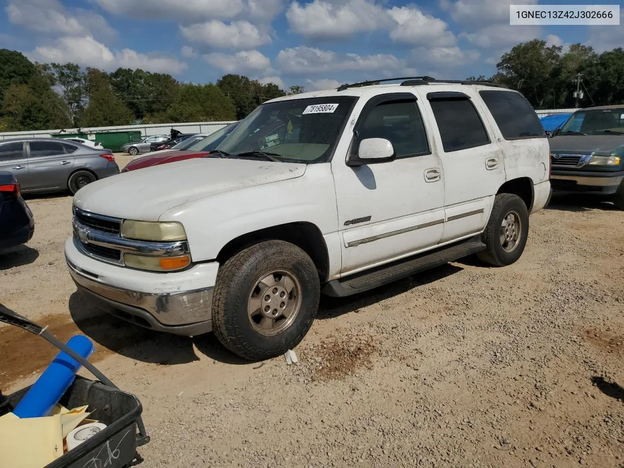 2002 Chevrolet Tahoe C1500 VIN: 1GNEC13Z42J302666 Lot: 78195804