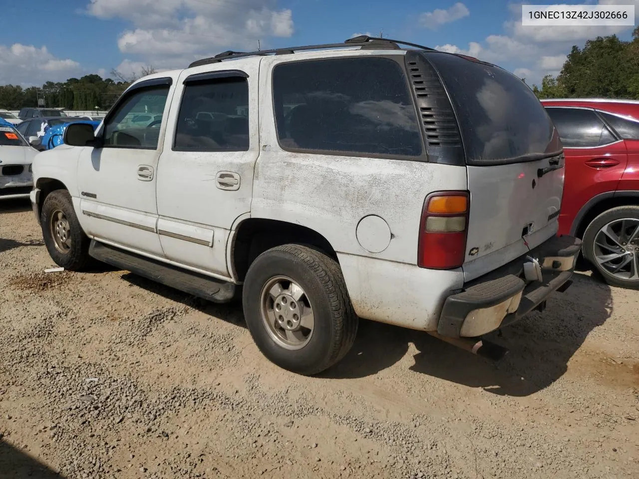 2002 Chevrolet Tahoe C1500 VIN: 1GNEC13Z42J302666 Lot: 78195804