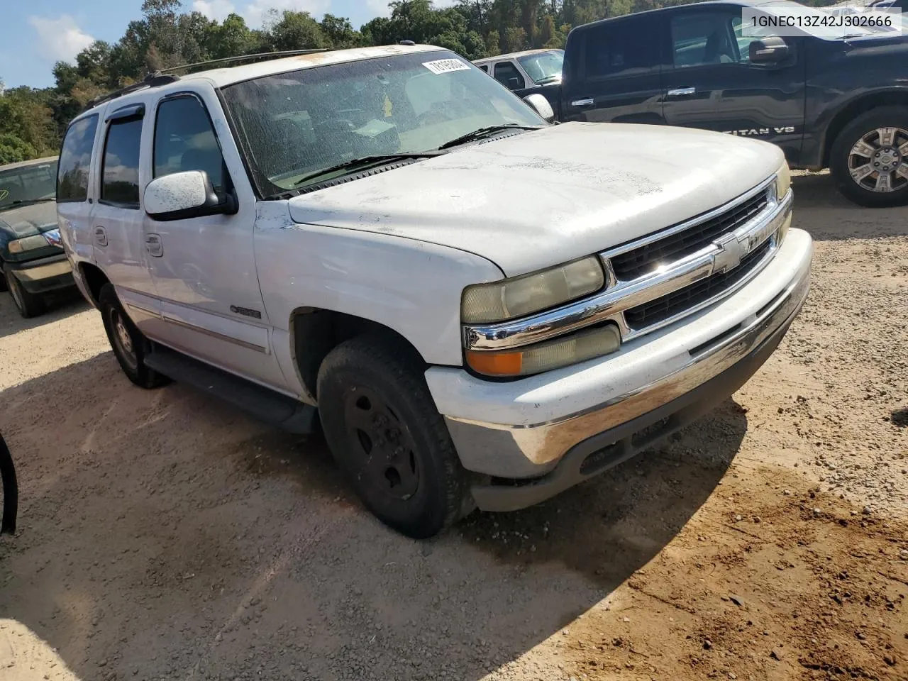 2002 Chevrolet Tahoe C1500 VIN: 1GNEC13Z42J302666 Lot: 78195804