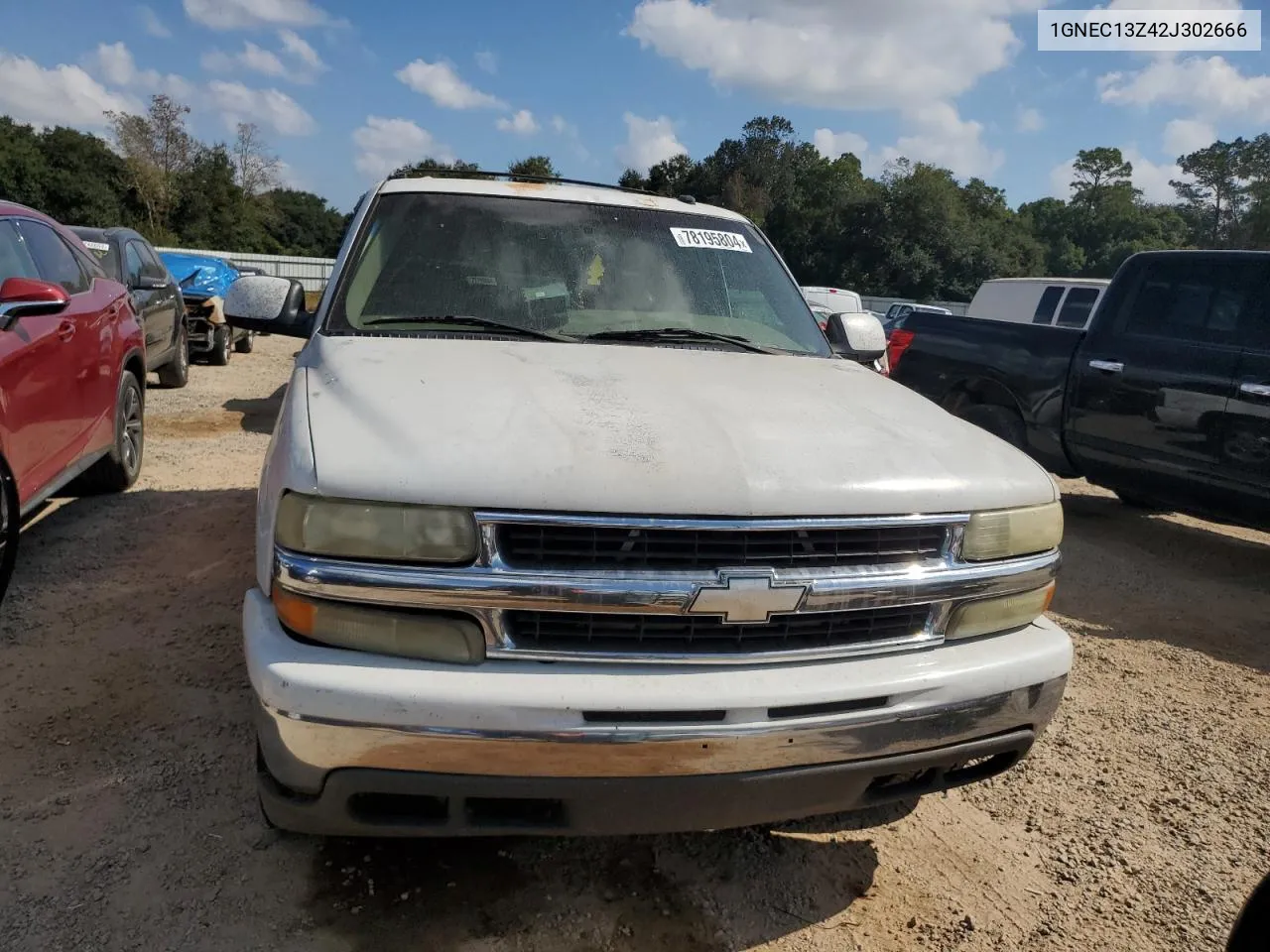 2002 Chevrolet Tahoe C1500 VIN: 1GNEC13Z42J302666 Lot: 78195804