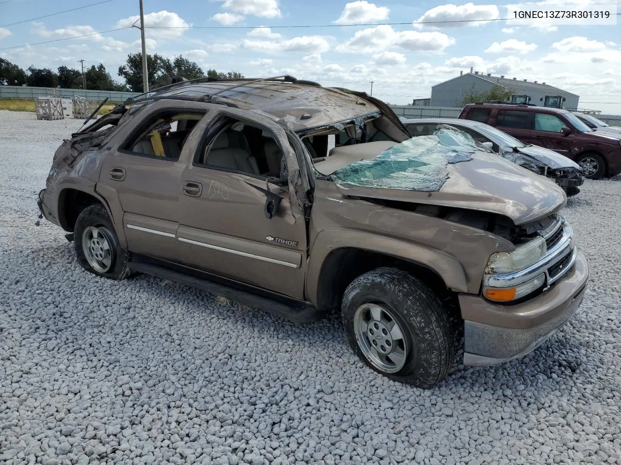 2003 Chevrolet Tahoe C1500 VIN: 1GNEC13Z73R301319 Lot: 77022904