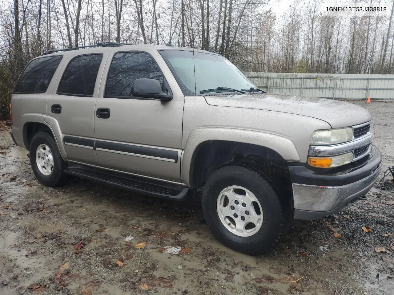 2003 Chevrolet Tahoe K1500 VIN: 1GNEK13T53J338818 Lot: 79222674