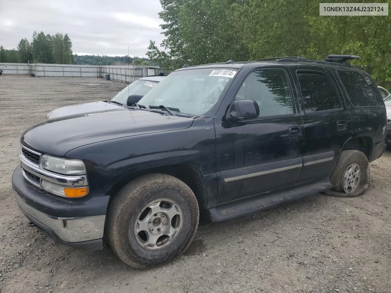 2004 Chevrolet Tahoe K1500 VIN: 1GNEK13Z44J232124 Lot: 53811074