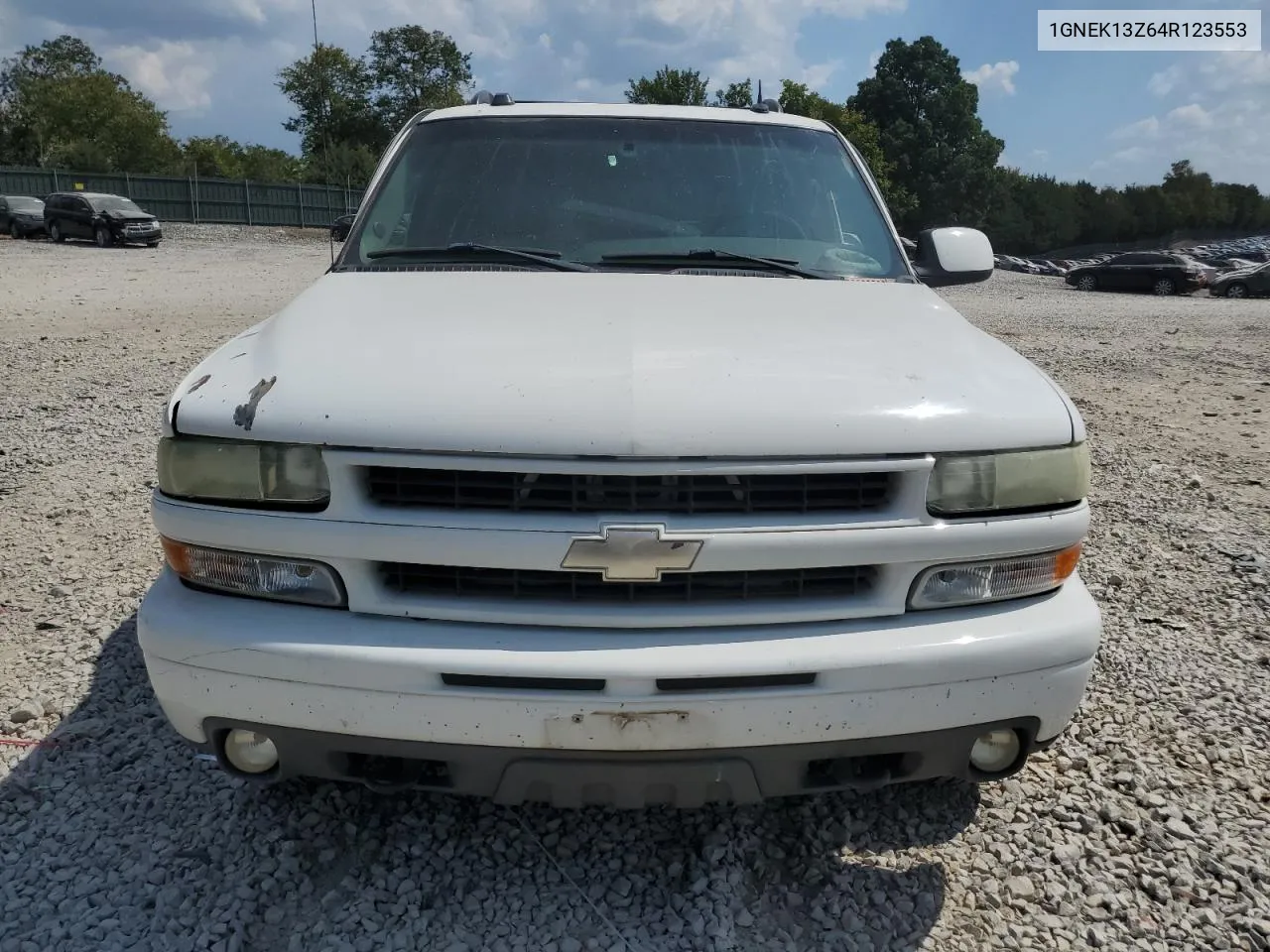 2004 Chevrolet Tahoe K1500 VIN: 1GNEK13Z64R123553 Lot: 69650594