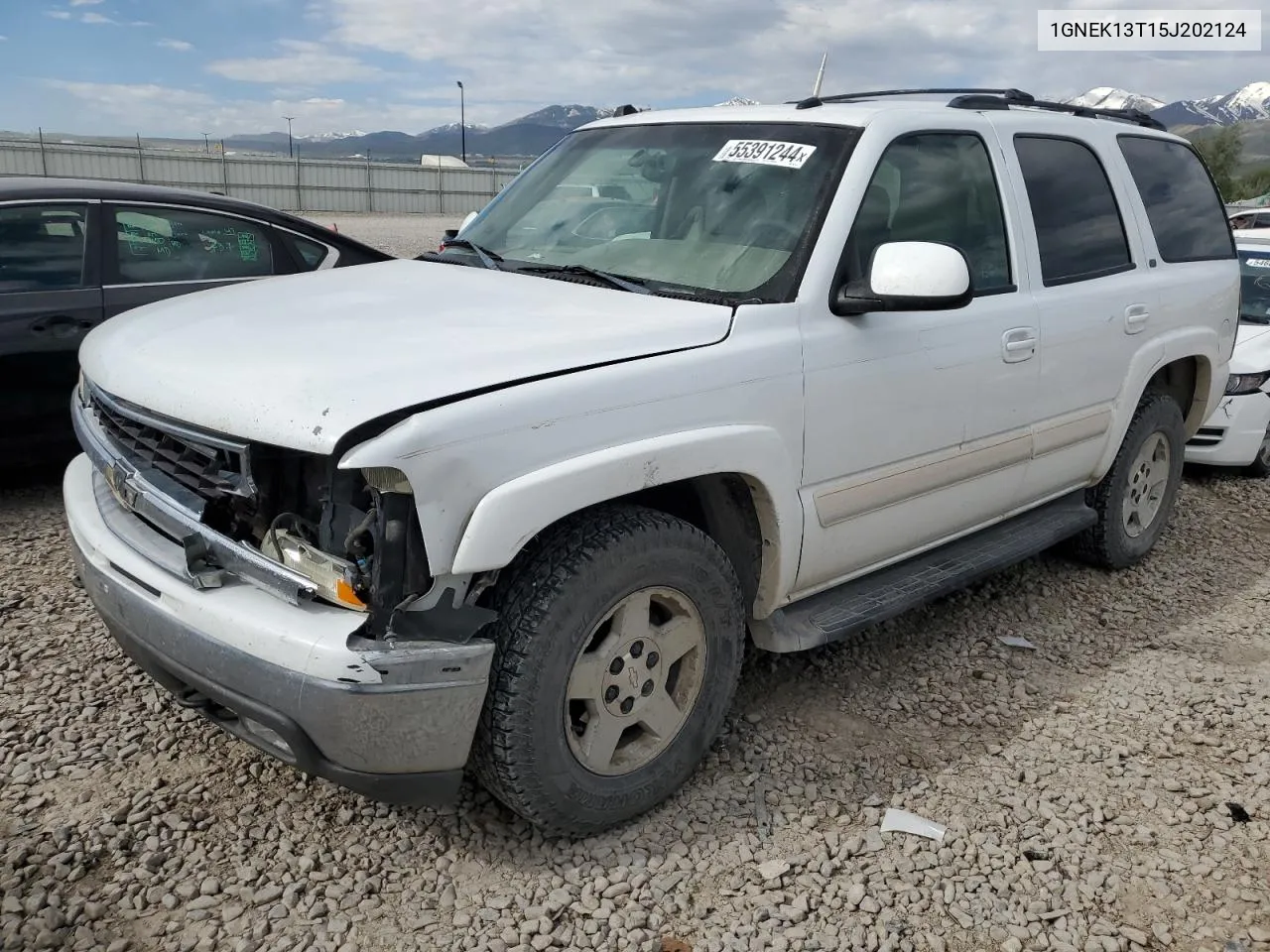 2005 Chevrolet Tahoe K1500 VIN: 1GNEK13T15J202124 Lot: 55391244