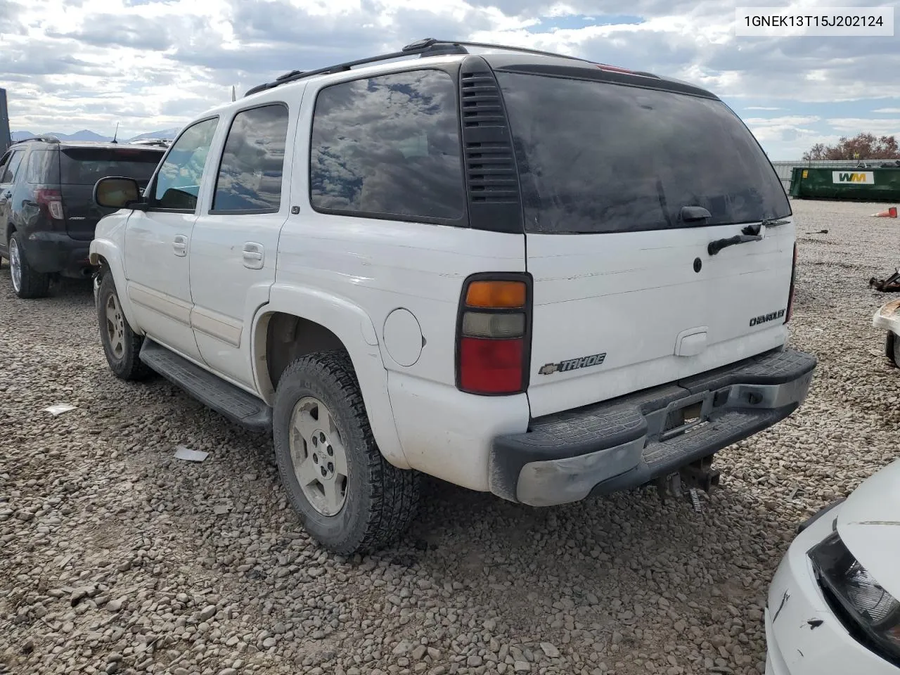 2005 Chevrolet Tahoe K1500 VIN: 1GNEK13T15J202124 Lot: 55391244