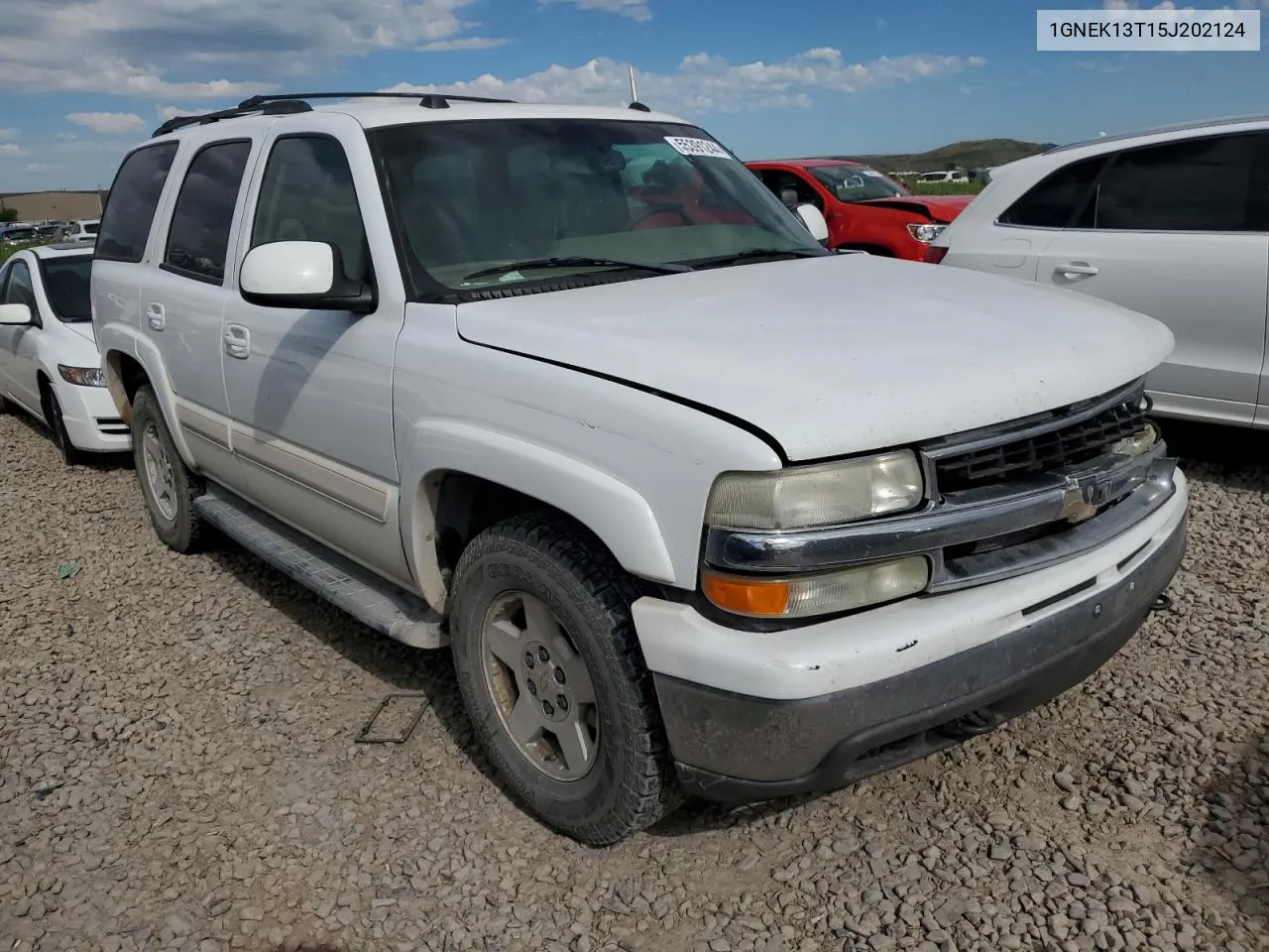 2005 Chevrolet Tahoe K1500 VIN: 1GNEK13T15J202124 Lot: 55391244