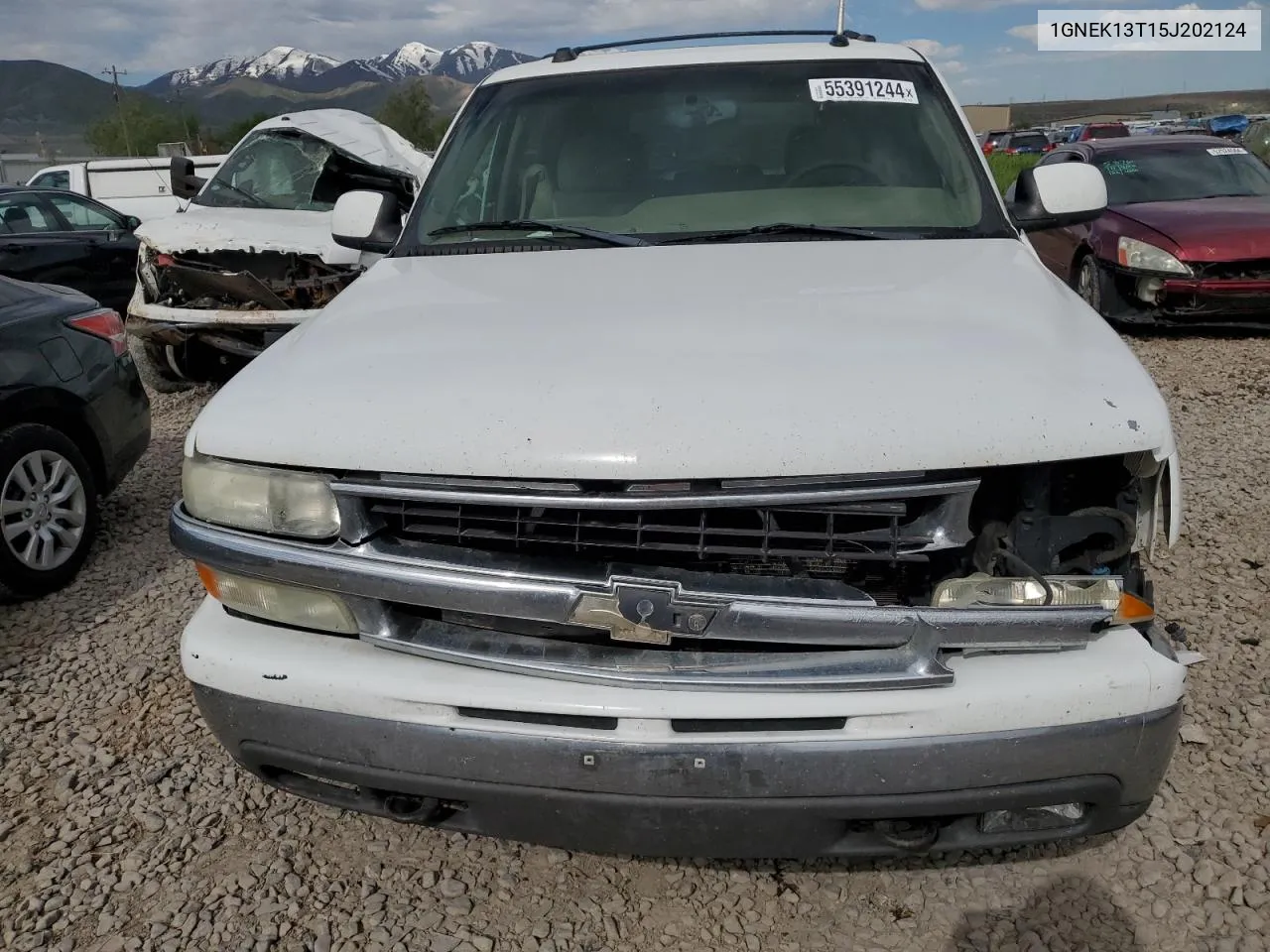 2005 Chevrolet Tahoe K1500 VIN: 1GNEK13T15J202124 Lot: 55391244