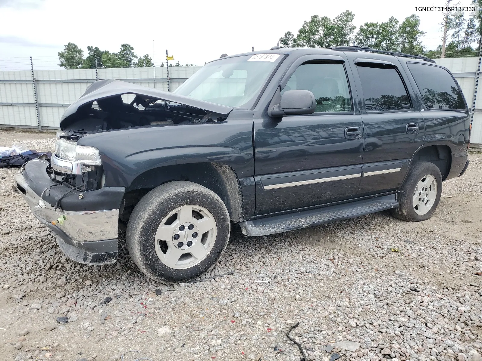 2005 Chevrolet Tahoe C1500 VIN: 1GNEC13T45R137333 Lot: 65107924