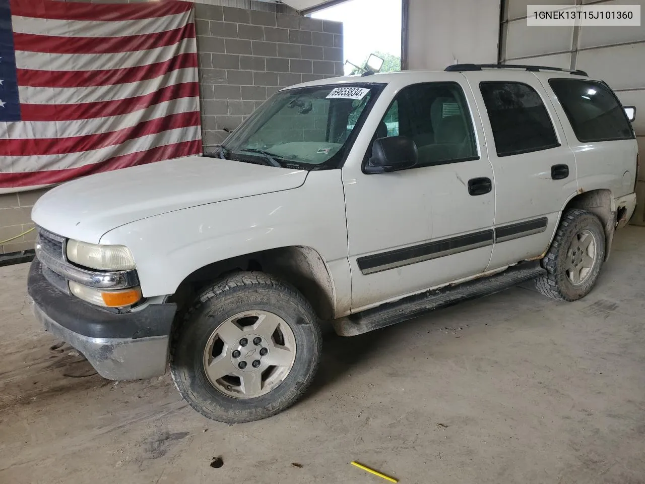 2005 Chevrolet Tahoe K1500 VIN: 1GNEK13T15J101360 Lot: 69653834