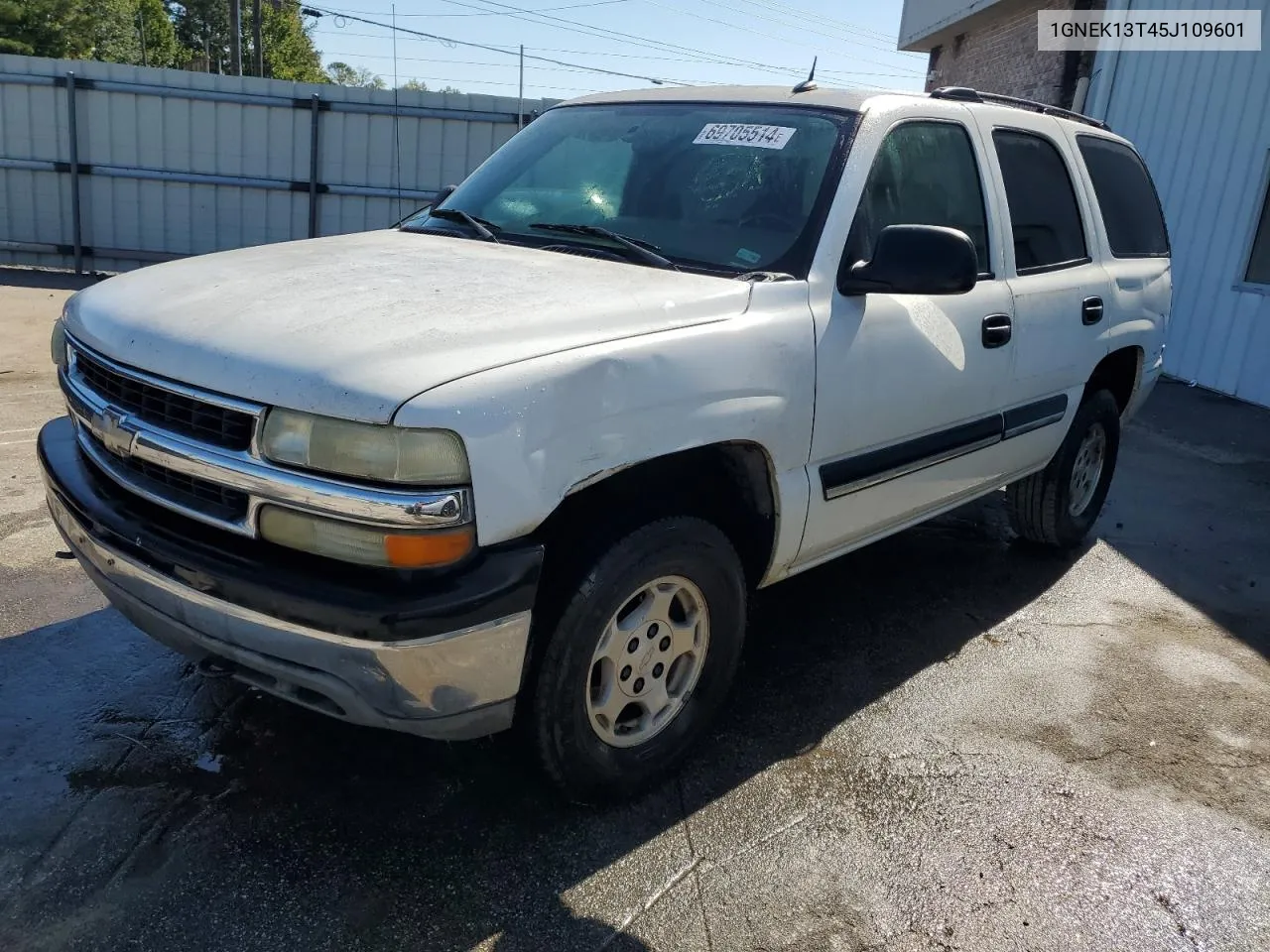 2005 Chevrolet Tahoe K1500 VIN: 1GNEK13T45J109601 Lot: 69705514