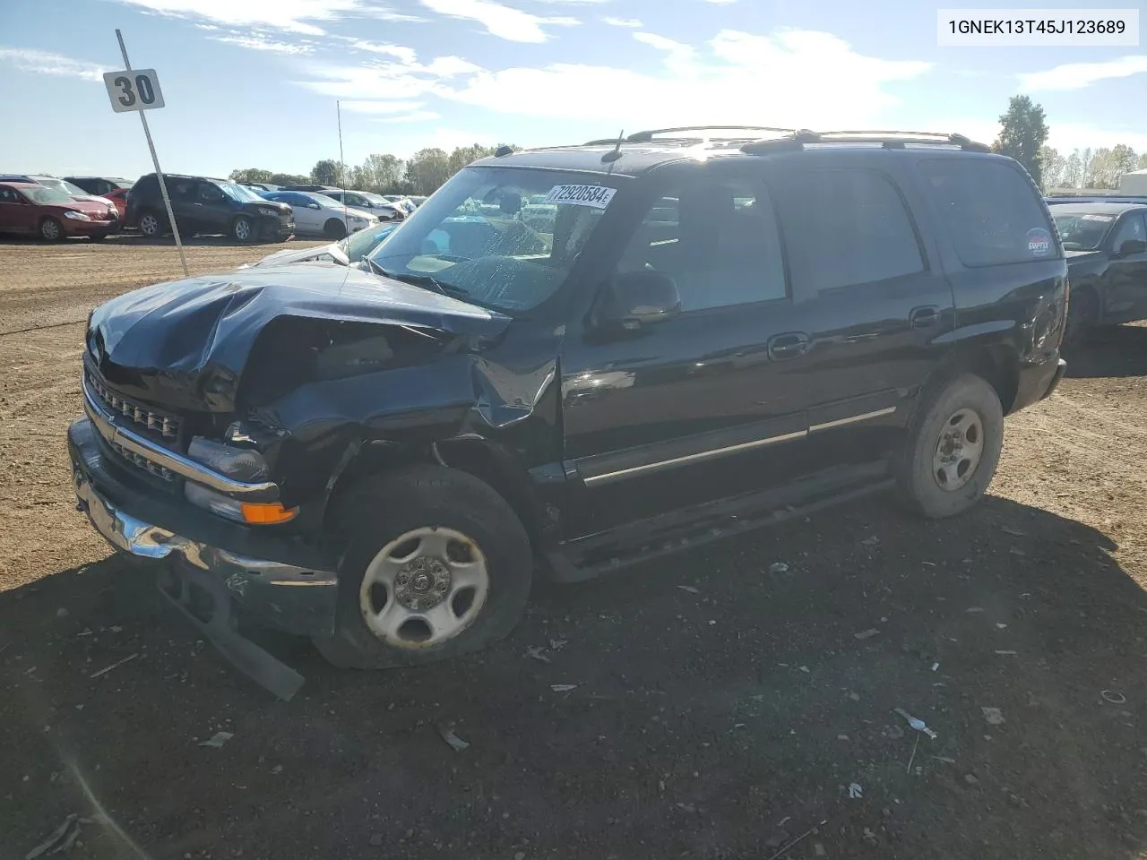 2005 Chevrolet Tahoe K1500 VIN: 1GNEK13T45J123689 Lot: 72920584