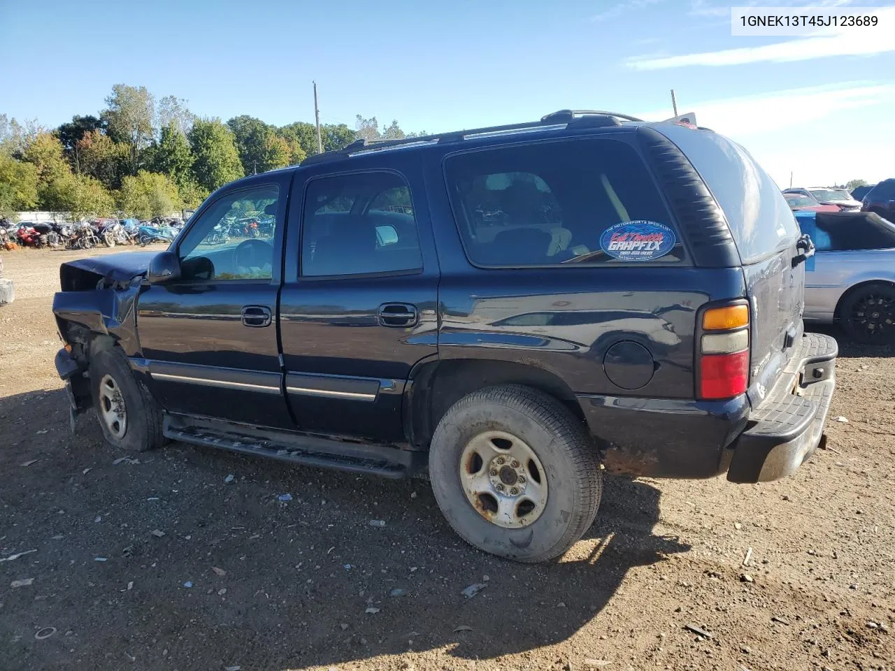 2005 Chevrolet Tahoe K1500 VIN: 1GNEK13T45J123689 Lot: 72920584