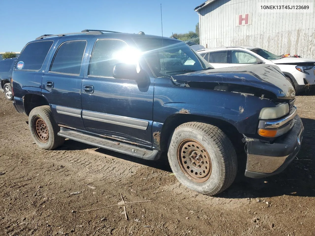 2005 Chevrolet Tahoe K1500 VIN: 1GNEK13T45J123689 Lot: 72920584