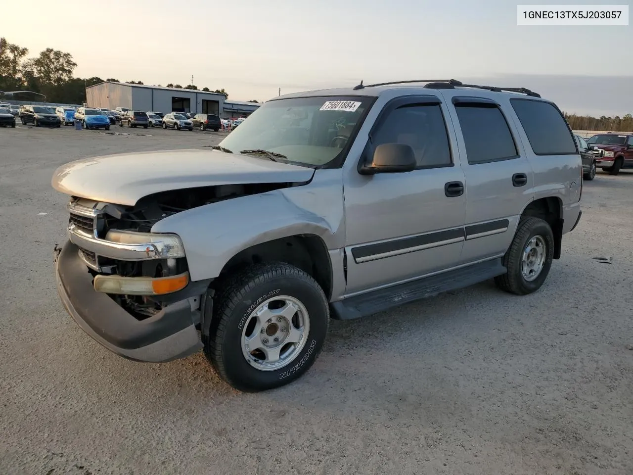 2005 Chevrolet Tahoe C1500 VIN: 1GNEC13TX5J203057 Lot: 75601884