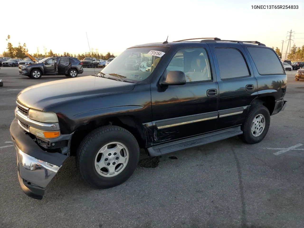 2005 Chevrolet Tahoe C1500 VIN: 1GNEC13T65R254833 Lot: 77916164