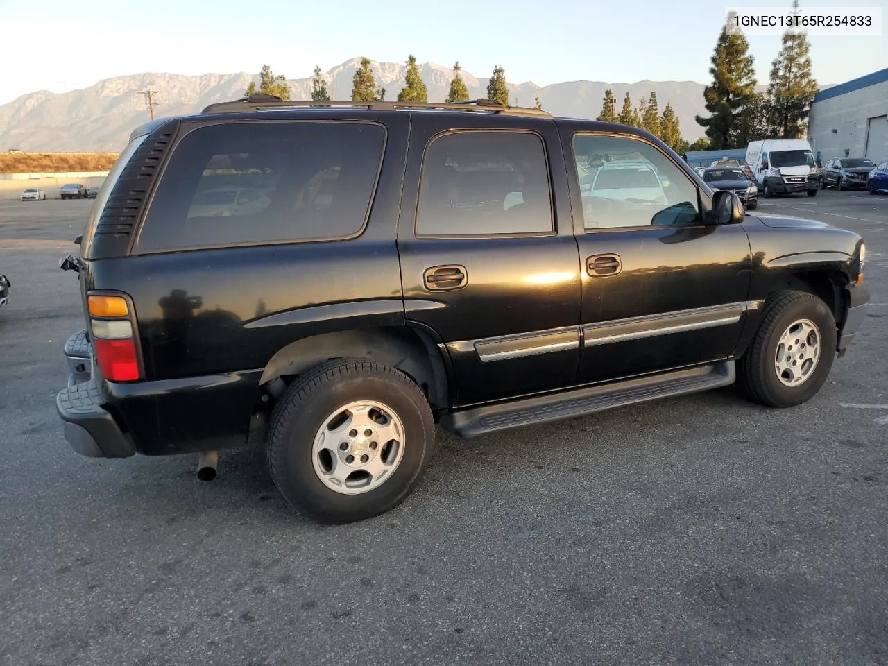 2005 Chevrolet Tahoe C1500 VIN: 1GNEC13T65R254833 Lot: 77916164