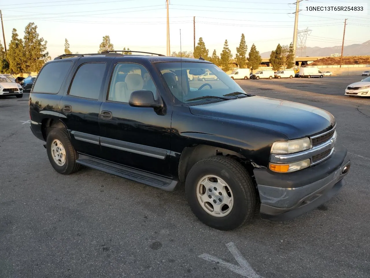 2005 Chevrolet Tahoe C1500 VIN: 1GNEC13T65R254833 Lot: 77916164