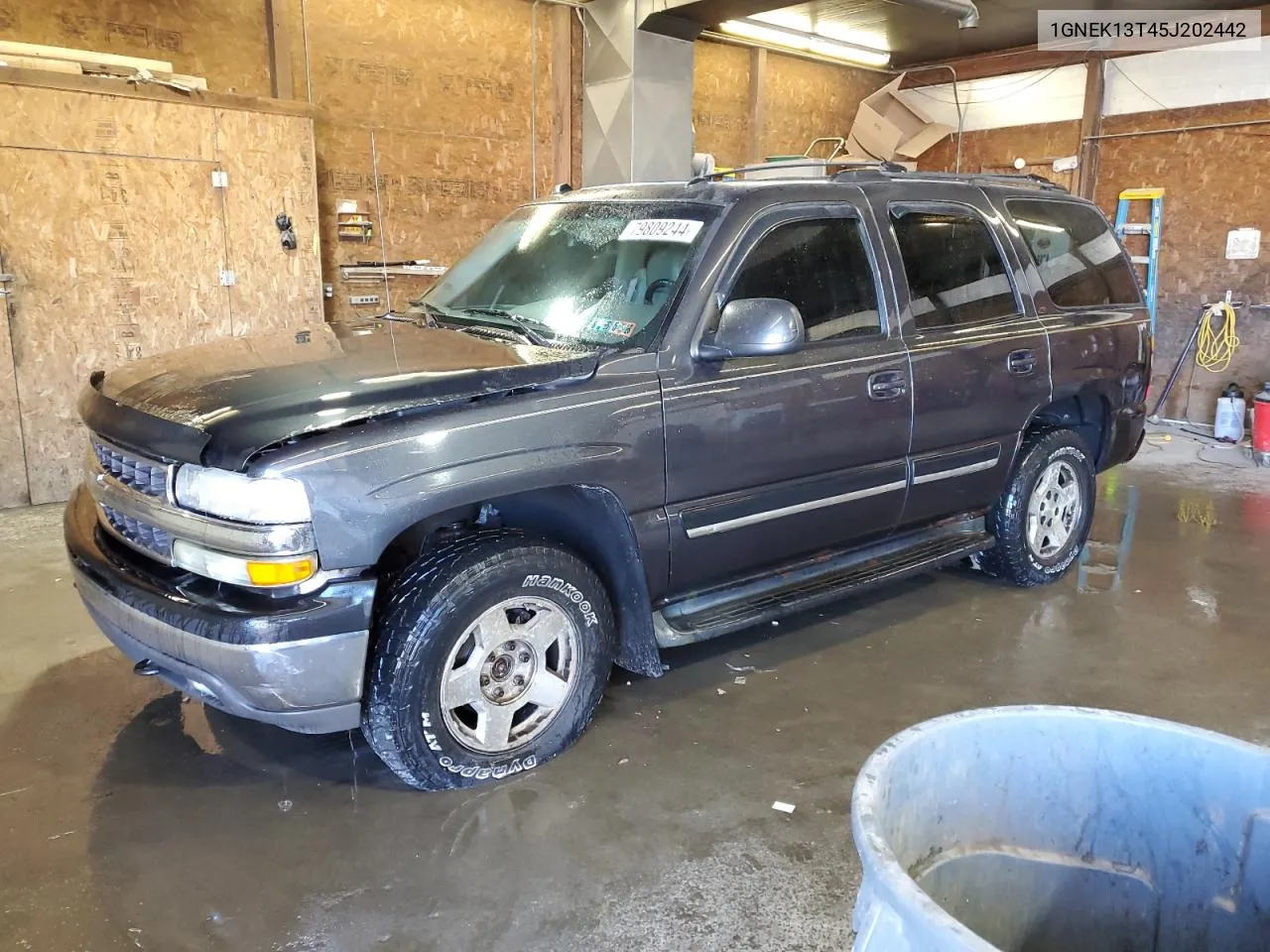 2005 Chevrolet Tahoe K1500 VIN: 1GNEK13T45J202442 Lot: 79809244