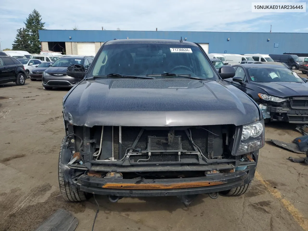 2010 Chevrolet Tahoe K1500 Ls VIN: 1GNUKAE01AR236445 Lot: 71736634