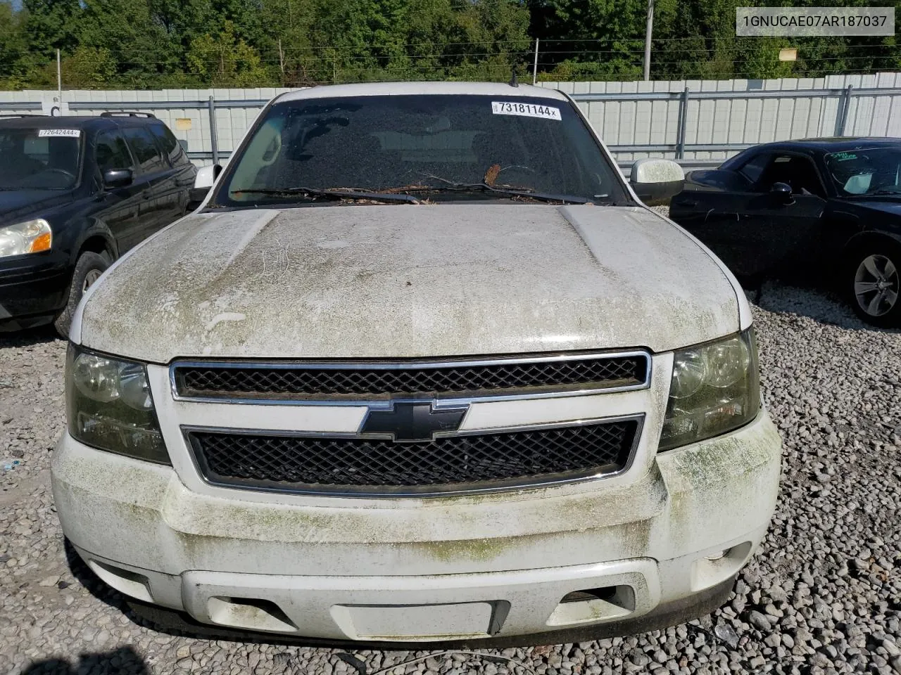 2010 Chevrolet Tahoe C1500 Ls VIN: 1GNUCAE07AR187037 Lot: 73181144