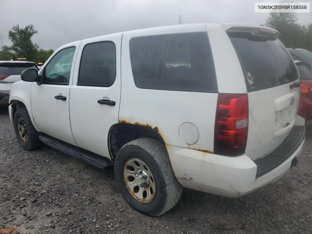 2011 Chevrolet Tahoe Special VIN: 1GNSK2E09BR158558 Lot: 77090724