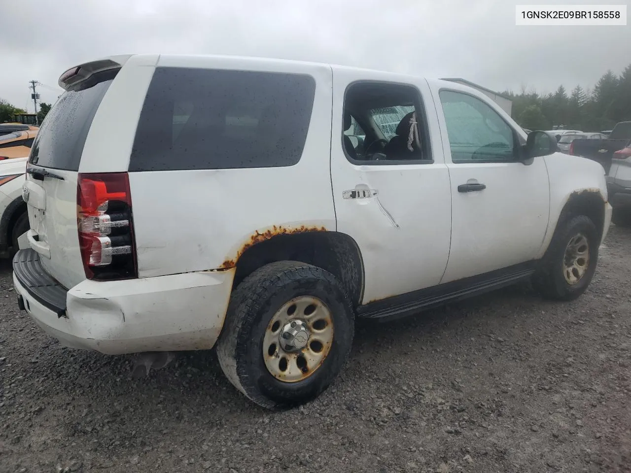 2011 Chevrolet Tahoe Special VIN: 1GNSK2E09BR158558 Lot: 77090724