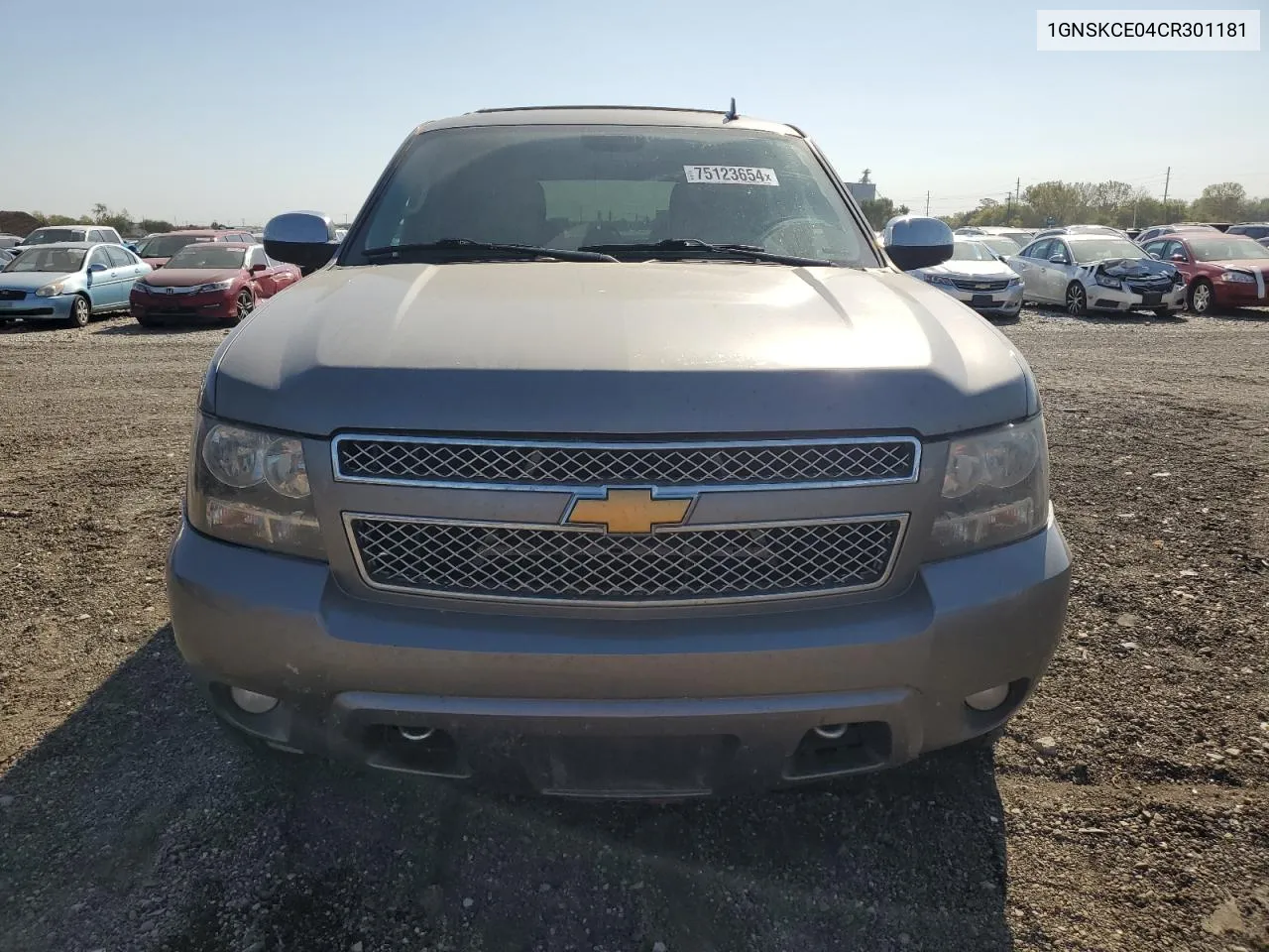 2012 Chevrolet Tahoe K1500 Ltz VIN: 1GNSKCE04CR301181 Lot: 75123654