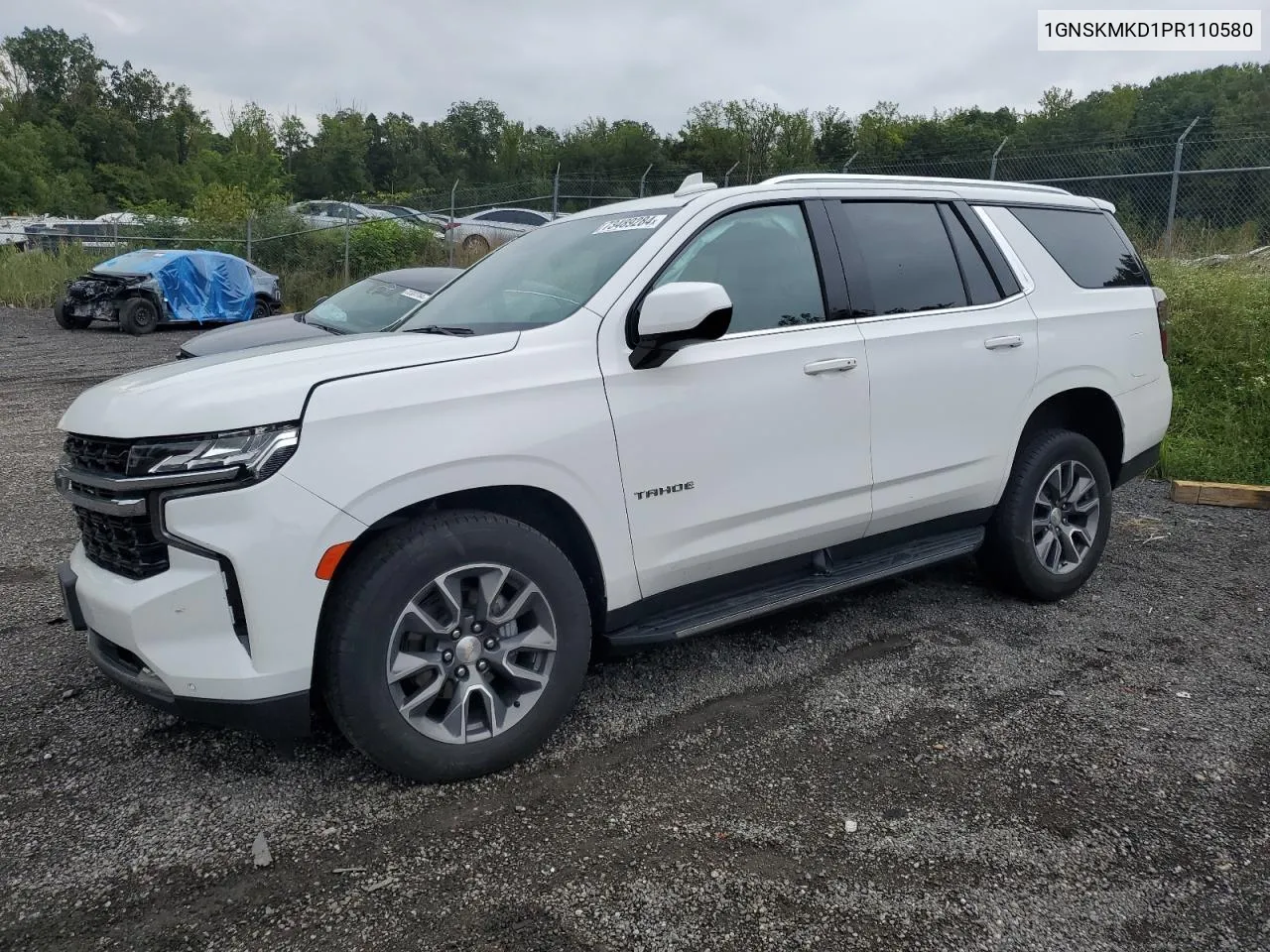 2023 Chevrolet Tahoe K1500 Ls VIN: 1GNSKMKD1PR110580 Lot: 73489284