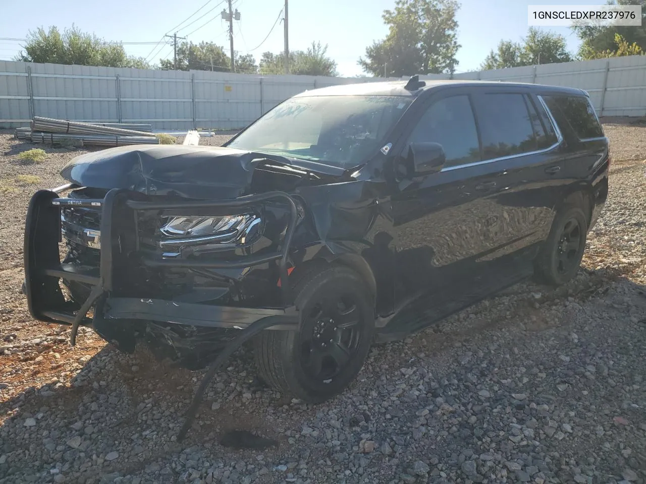 2023 Chevrolet Tahoe C1500 VIN: 1GNSCLEDXPR237976 Lot: 73557934