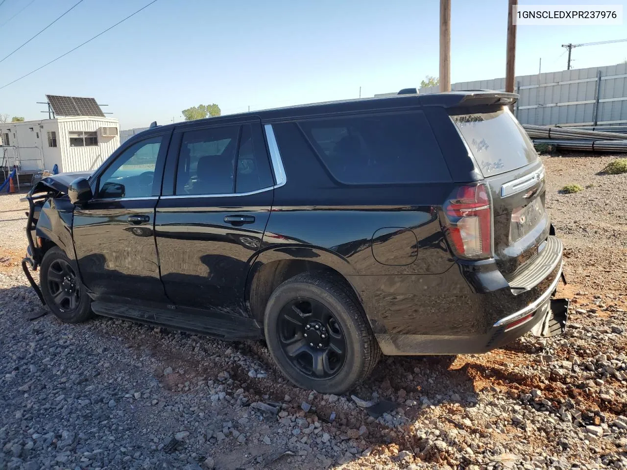 2023 Chevrolet Tahoe C1500 VIN: 1GNSCLEDXPR237976 Lot: 73557934