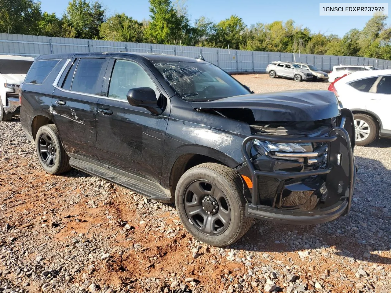 2023 Chevrolet Tahoe C1500 VIN: 1GNSCLEDXPR237976 Lot: 73557934